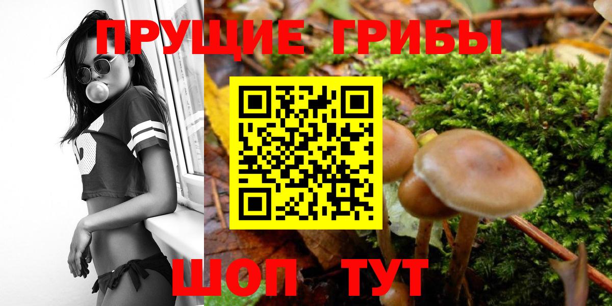Галлюциногенные грибы мицелий Нягань