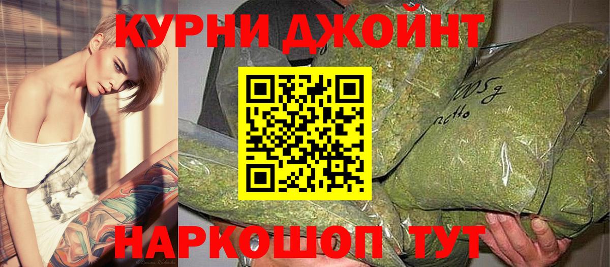 Конопля сатива Нягань